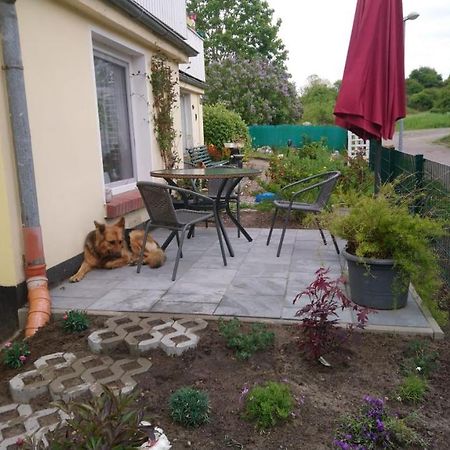 Ferienwohnung Neuensien Sellin  المظهر الخارجي الصورة